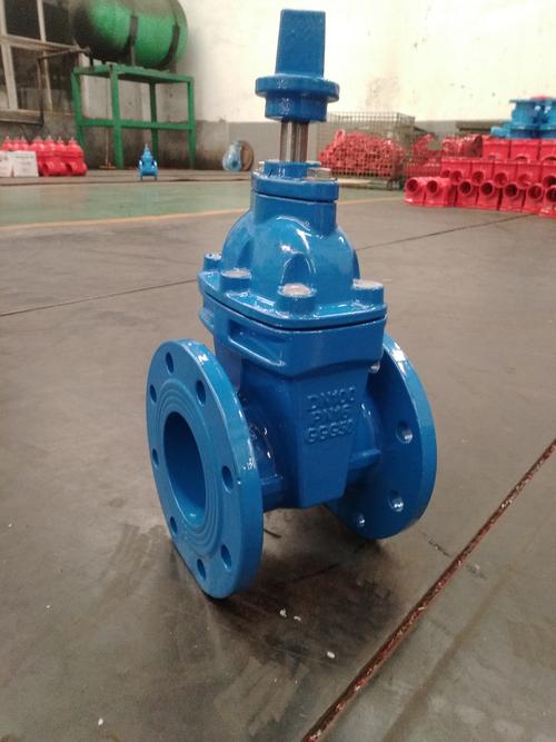 How to do a good job in daily maintenance of gate valves