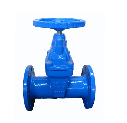 F5 GGG50 Gate Valve